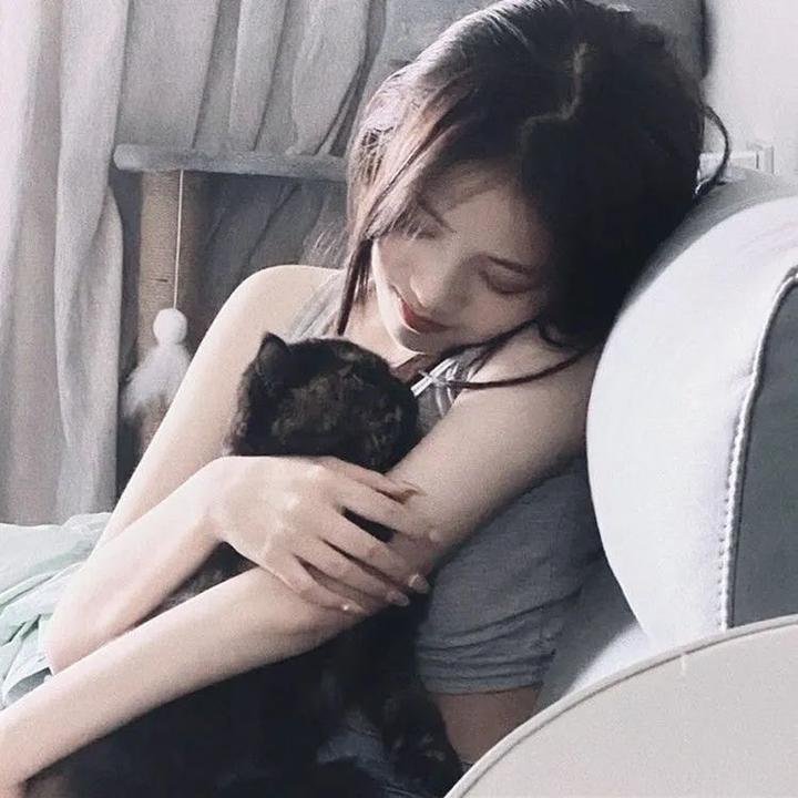 荒谬无稽封面